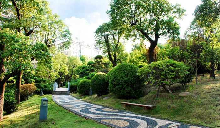 濮阳华龙区安居路绿化项